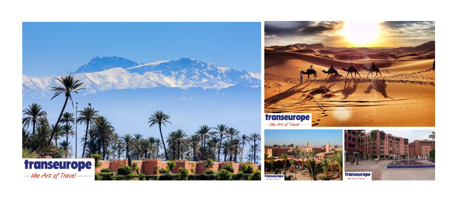 Transeurope Marrakech 
